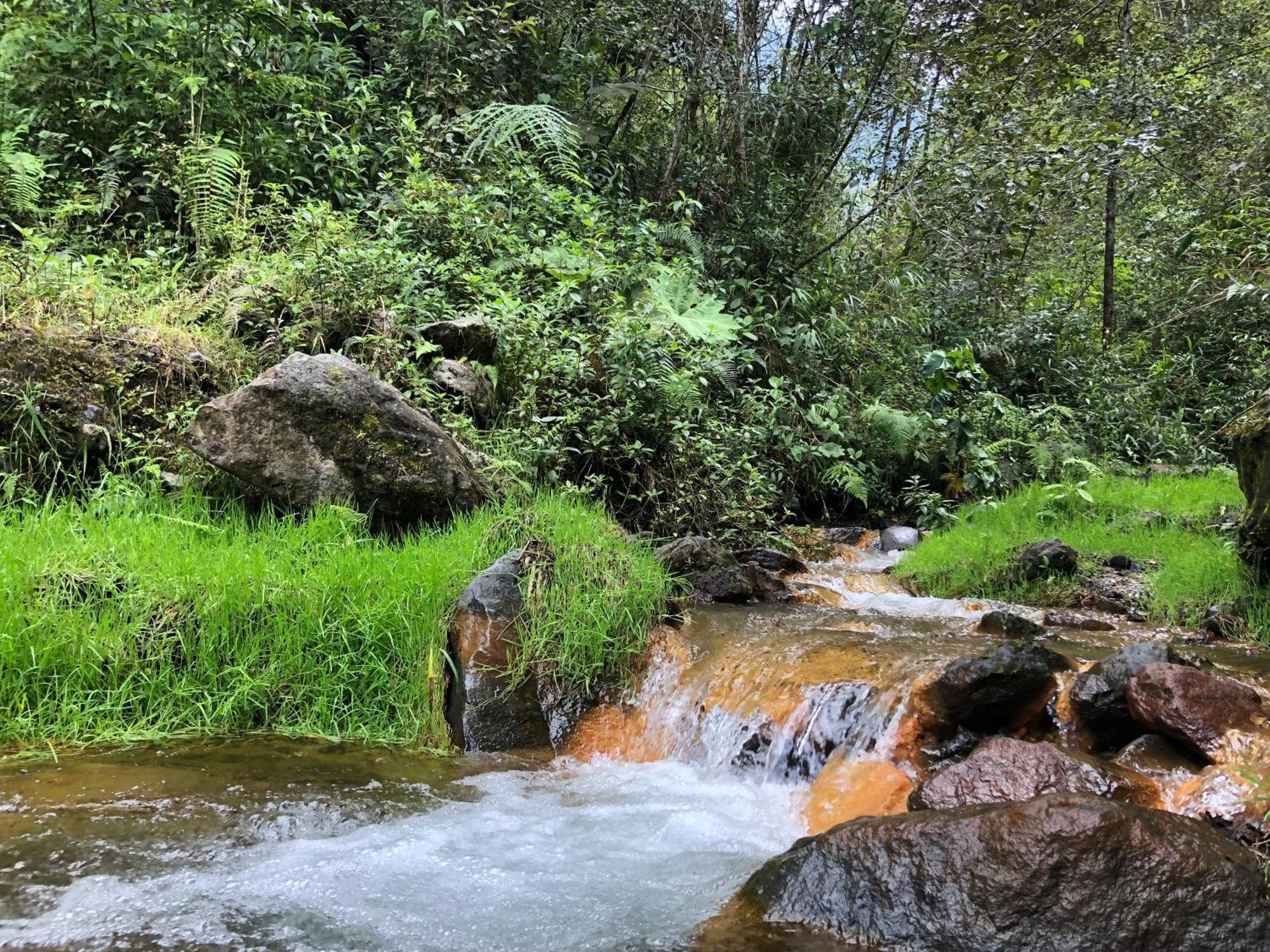 Mountain Chalet - Tungurahua Hot Springs/Aguas Termales Baños Екстериор снимка